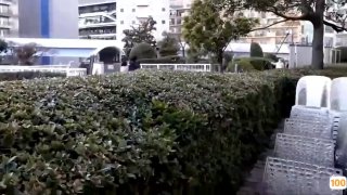 【黄先生探花】玩双飞一个少妇一个萌妹，穿上情趣装黑丝身上扭动一起舔弄猛操